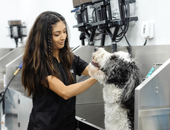 Sparkle Grooming Co