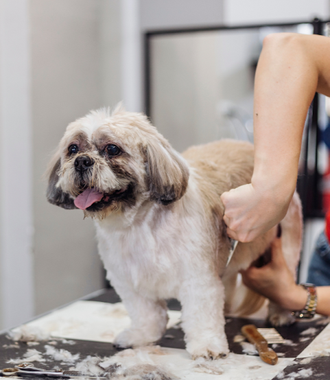 Kibbles & Cuts