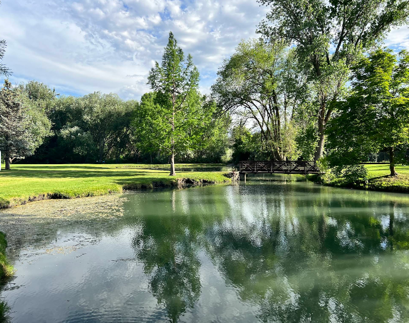 Bicentennial Park Dog Park