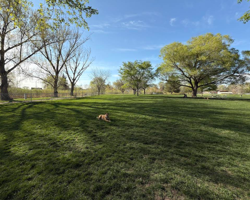 Cottonwood Park