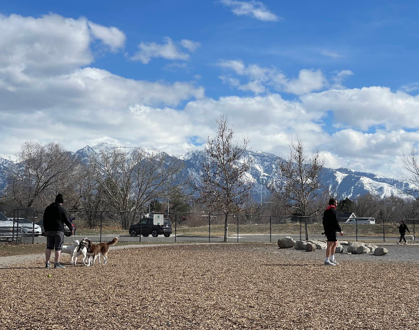 Millrace Park Off-Leash Area