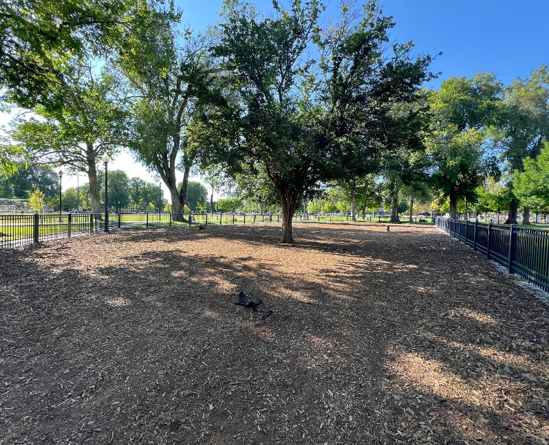 Pioneer Park Dog Park